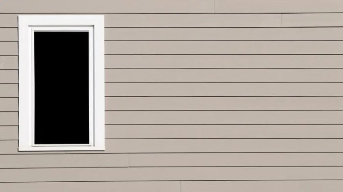 Vinyl siding estimate cost