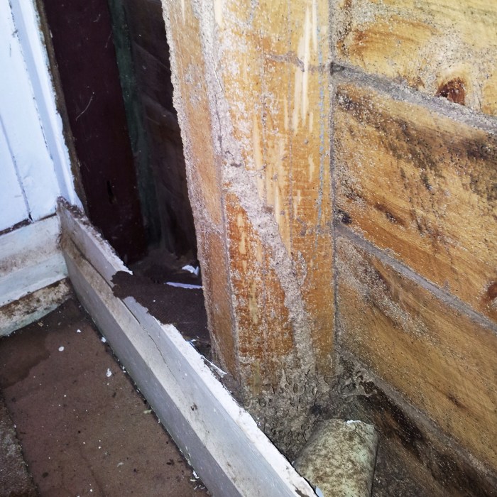 Termite damage siding tagged virginia northern Termite resistant siding