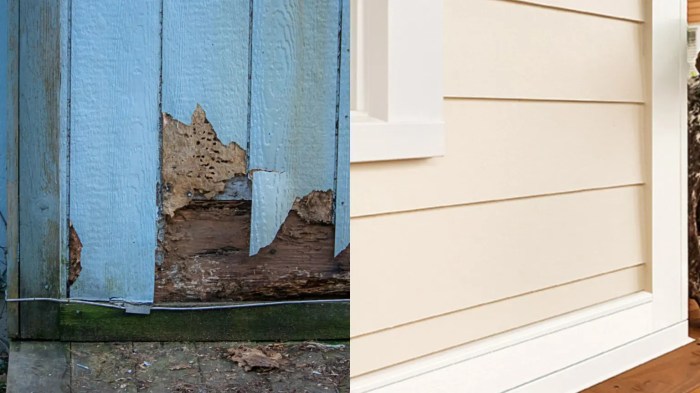 Termite damage signs foundation termites Termite damage signs foundation termites
